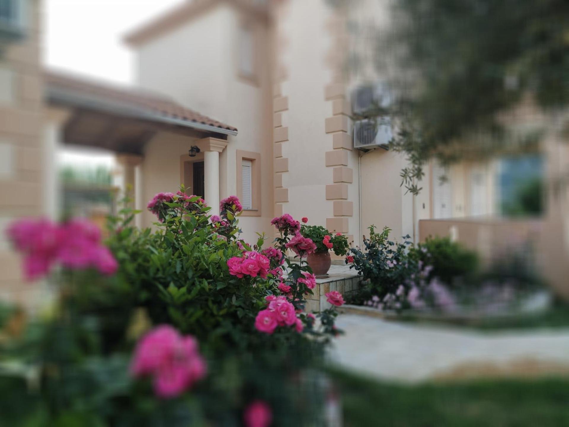 Villa Agrilida Vassiliki Esterno foto